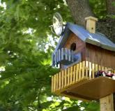 How to make a birdhouse: from boards and logs for different birds Interesting DIY birdhouse ideas